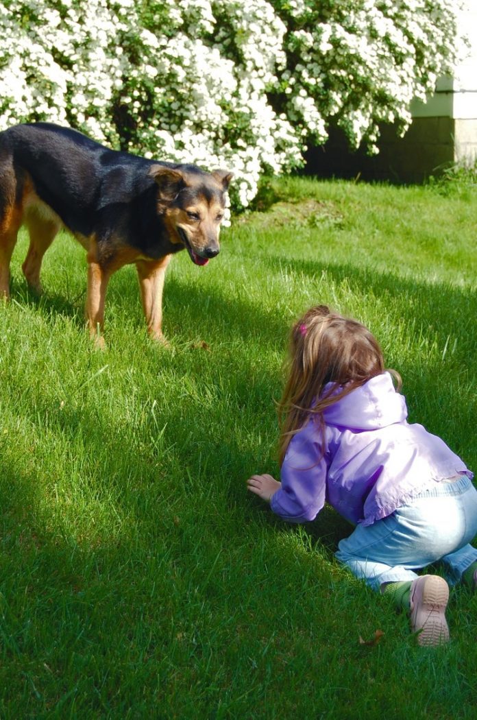 kids better with pets