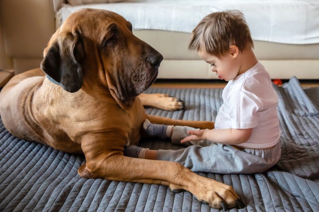 kids better with pets