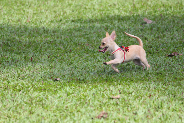 Providing Temporary Homes