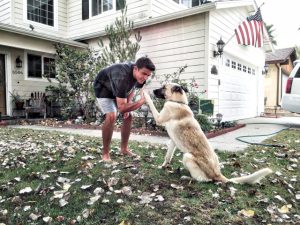 Exploring Different Adoption Paths