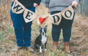 Adoption Laws and Regulations