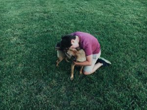 Fostering Animals